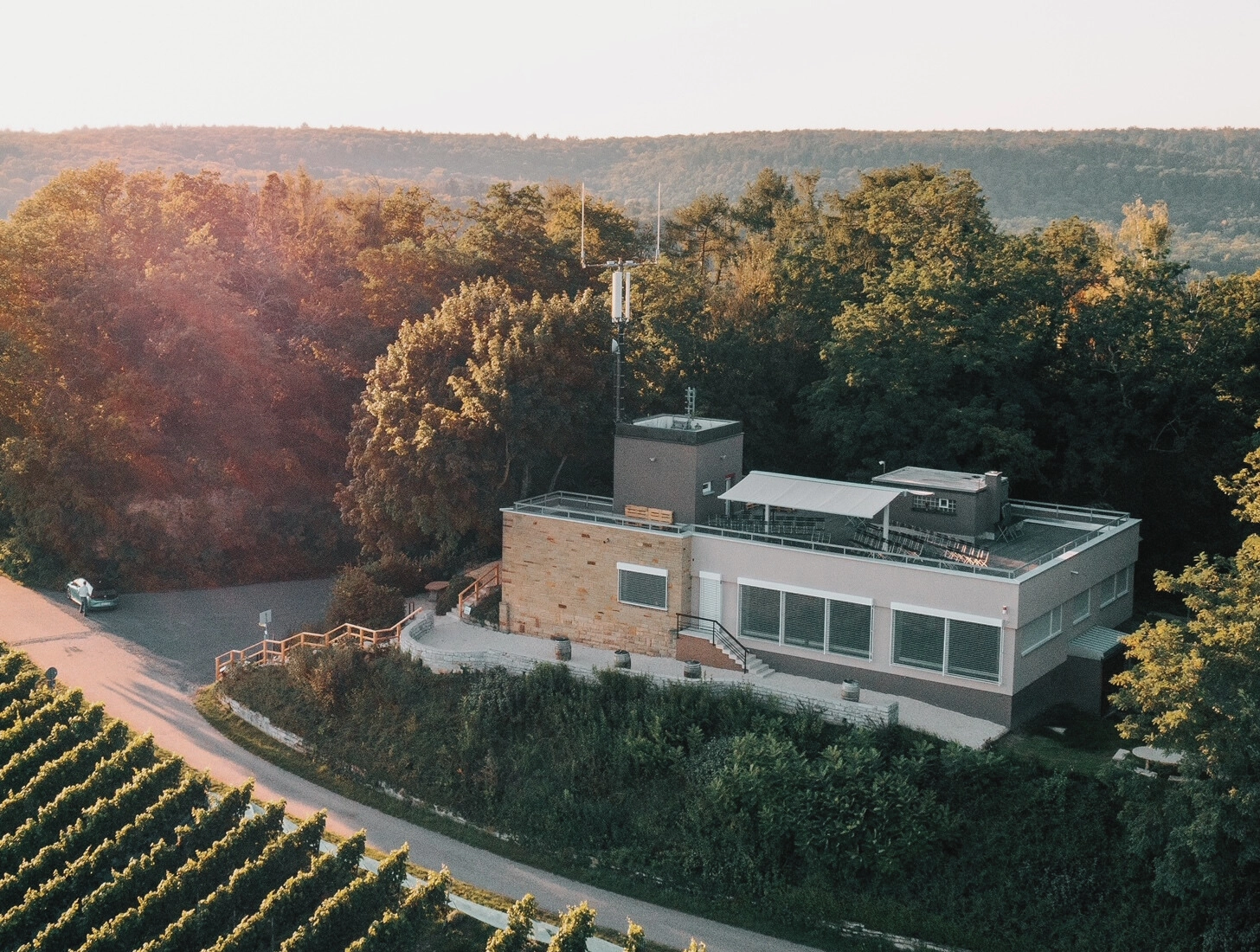 Ein modernes Gebäude am Waldrand, mit Weinreben im Vordergrund unter der Abendsonne.