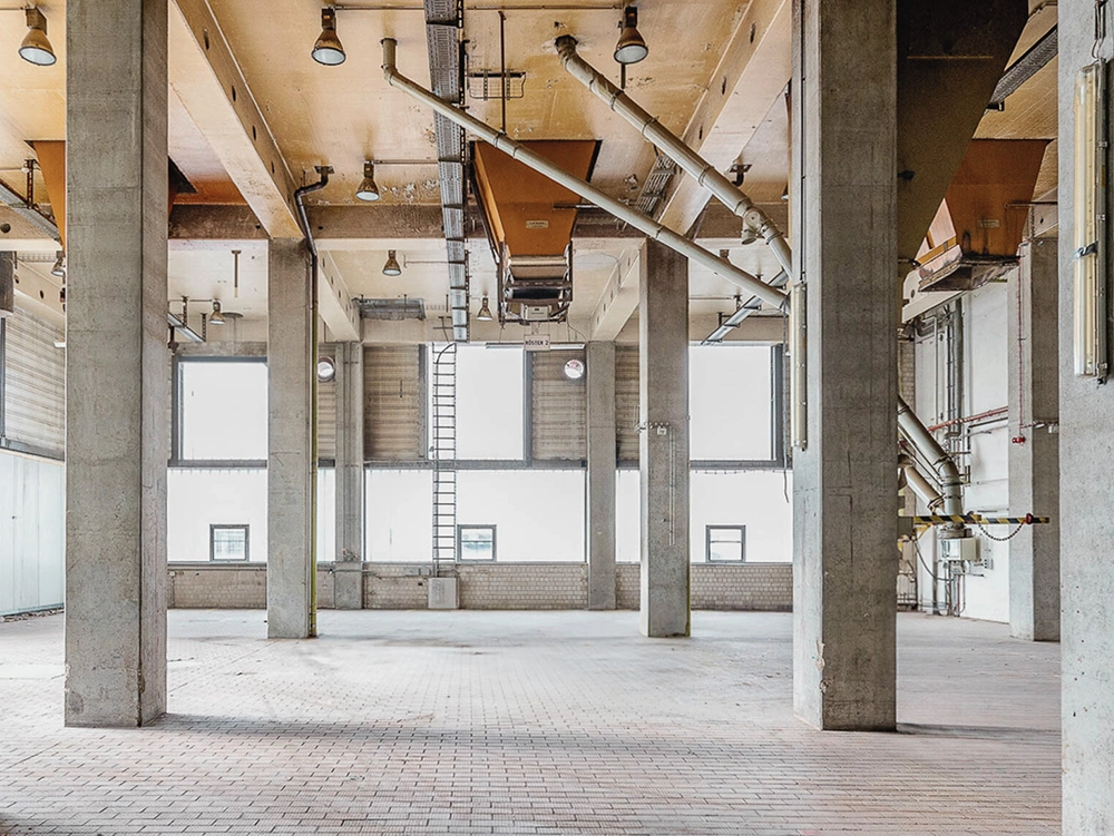 Industriehalle mit Betonpfeilern, großen Fenstern und frei hängenden Rohren unter einer Holzdecke.